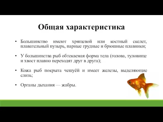 Общая характеристика Большинство имеют хрящевой или костный скелет, плавательный пузырь, парные