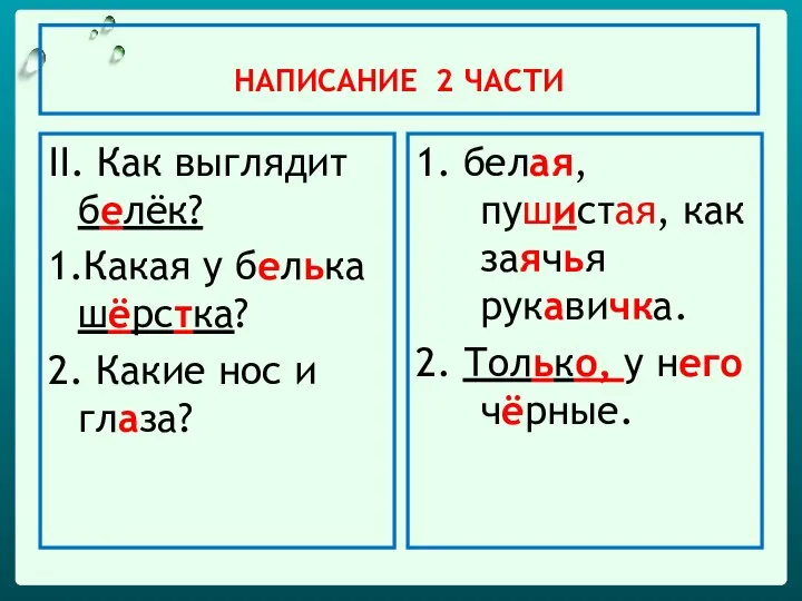 НАПИСАНИЕ 2 ЧАСТИ II. Как выглядит белёк? 1.Какая у белька шёрстка?