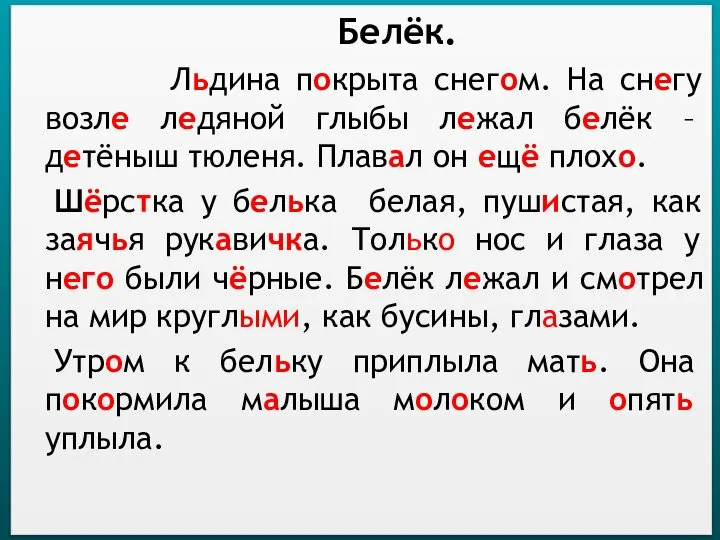 Белёк. Льдина покрыта снегом. На снегу возле ледяной глыбы лежал белёк