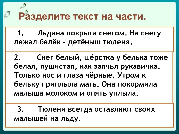 1. Льдина покрыта снегом. На снегу лежал белёк – детёныш тюленя.