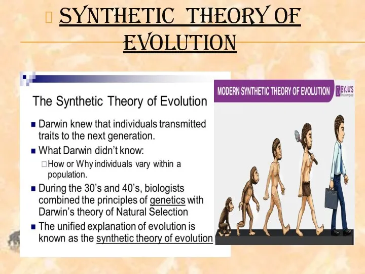 SYNTHETIC THEORY OF EVOLUTION