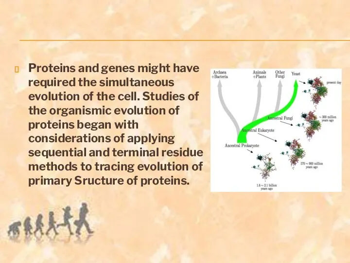 Proteins and genes might have required the simultaneous evolution of the