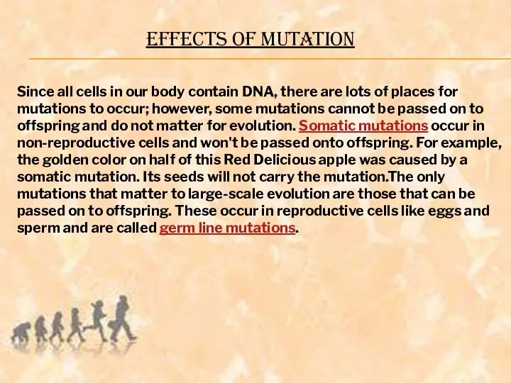 EFFECTS OF MUTATION Since all cells in our body contain DNA,