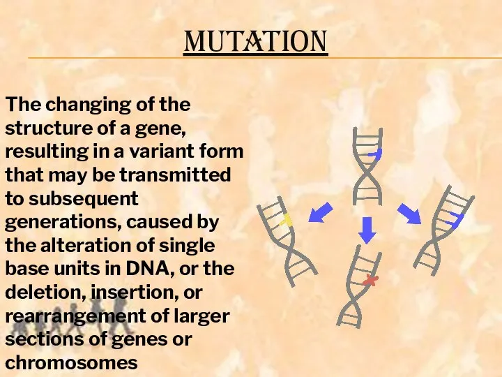 MUTATION The changing of the structure of a gene, resulting in
