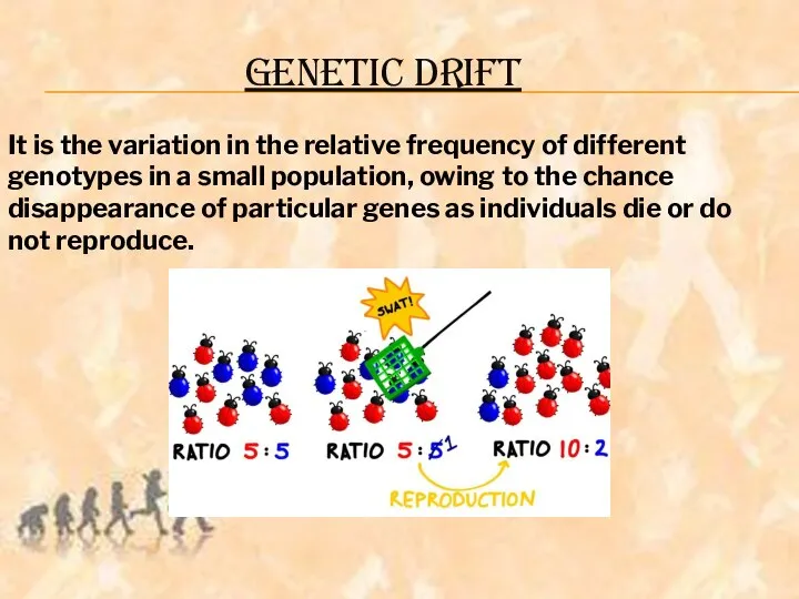 GENETIC DRIFT It is the variation in the relative frequency of