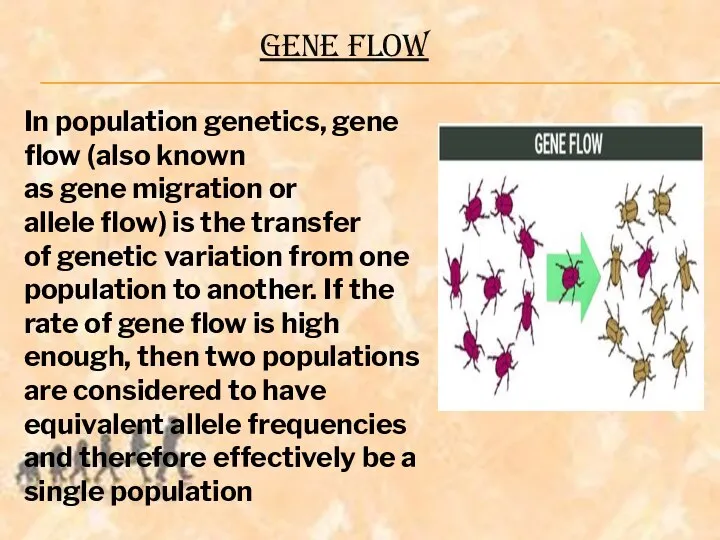 GENE FLOW In population genetics, gene flow (also known as gene