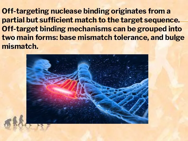 Off-targeting nuclease binding originates from a partial but sufficient match to