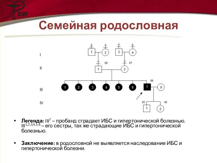 Семейная родословная Легенда: III7 – пробанд страдает ИБС и гипертонической болезнью.