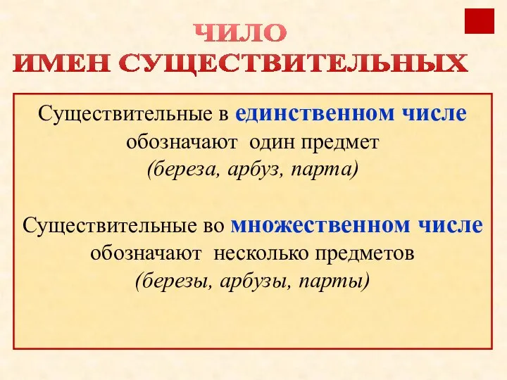 Существительные в единственном числе обозначают один предмет (береза, арбуз, парта) Существительные