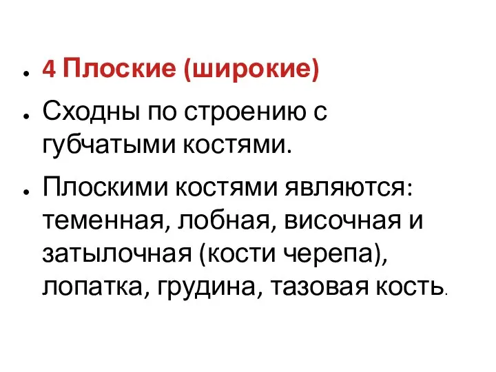 4 Плоские (широкие) Сходны по строению с губчатыми костями. Плоскими костями