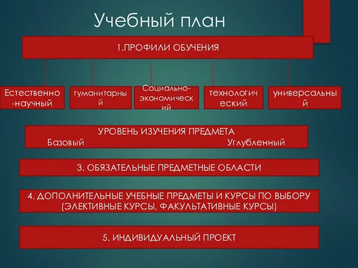 Учебный план 1.ПРОФИЛИ ОБУЧЕНИЯ Естественно-научный гуманитарный Социально-экономический технологический универсальный УРОВЕНЬ ИЗУЧЕНИЯ