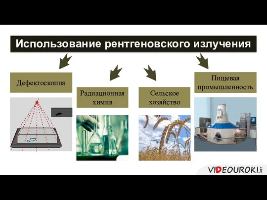 Использование рентгеновского излучения Радиационная химия Сельское хозяйство Дефектоскопия Пищевая промышленность