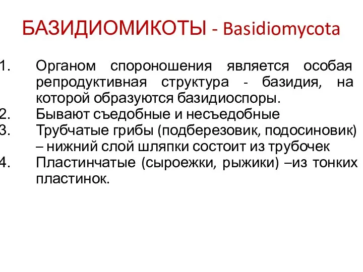 БАЗИДИОМИКОТЫ - Basidiomycota Органом спороношения является особая репродуктивная структура - базидия,