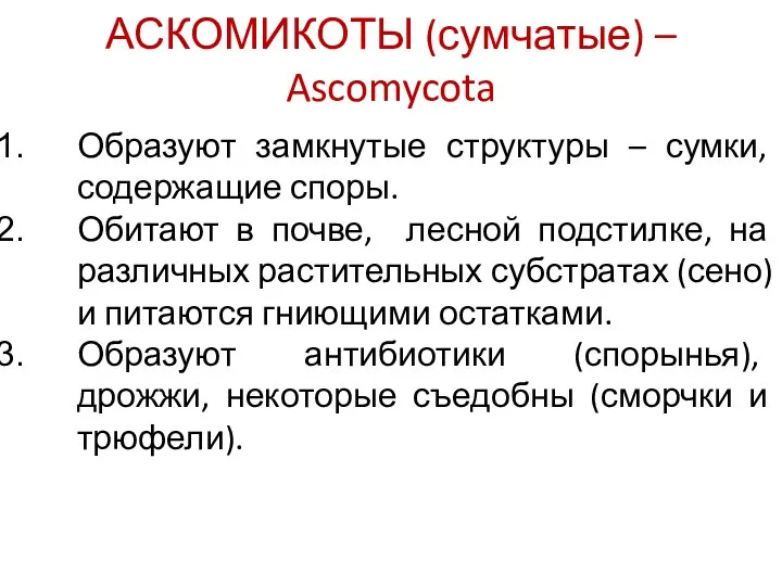 АСКОМИКОТЫ (сумчатые) – Ascomycota Образуют замкнутые структуры – сумки, содержащие споры.