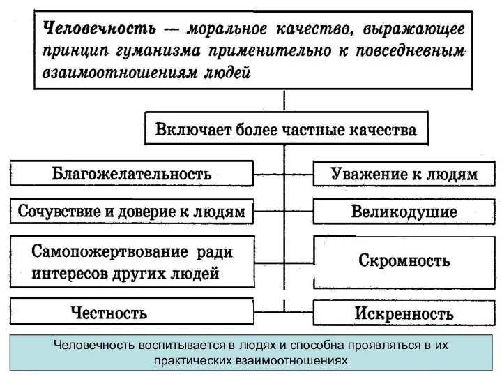 Человечность воспитывается в людях и способна проявляться в их практических взаимоотношениях