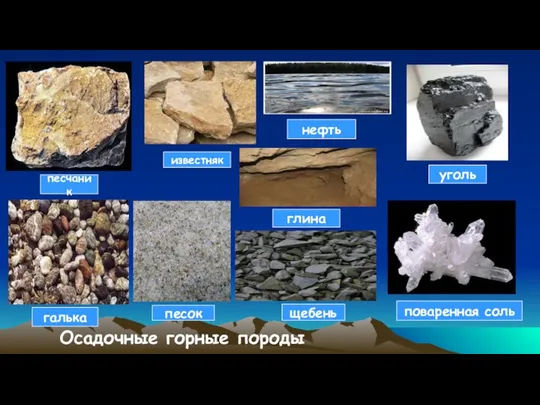 песчаник известняк поваренная соль нефть галька щебень песок глина уголь Осадочные горные породы