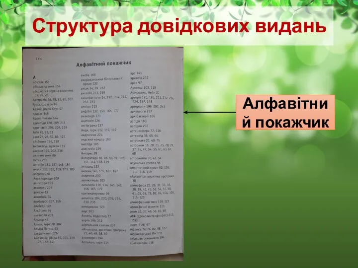 Структура довідкових видань Алфавітний покажчик