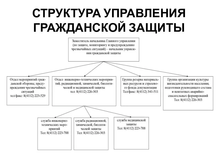 СТРУКТУРА УПРАВЛЕНИЯ ГРАЖДАНСКОЙ ЗАЩИТЫ