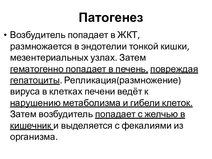 Патогенез Возбудитель попадает в ЖКТ, размножается в эндотелии тонкой кишки, мезентериальных