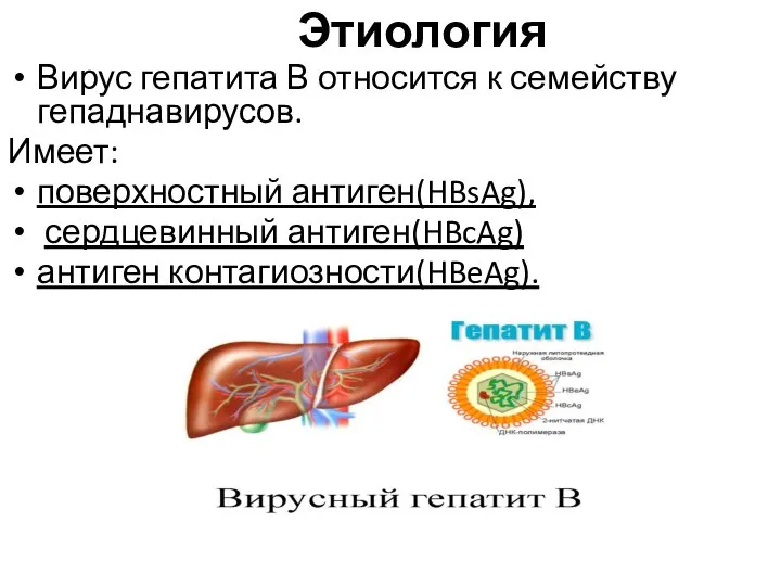 Этиология Вирус гепатита В относится к семейству гепаднавирусов. Имеет: поверхностный антиген(HBsAg), сердцевинный антиген(HBcAg) антиген контагиозности(HBeAg).