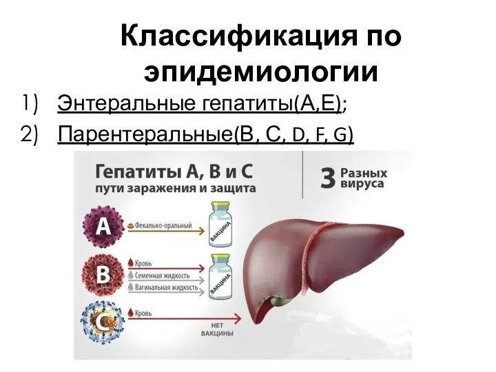 Классификация по эпидемиологии Энтеральные гепатиты(А,Е); Парентеральные(В, С, D, F, G)