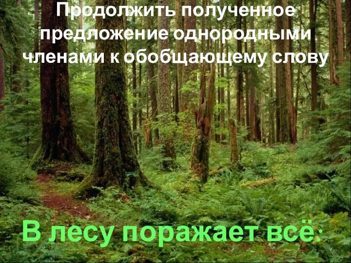 Продолжить полученное предложение однородными членами к обобщающему слову В лесу поражает всё: …