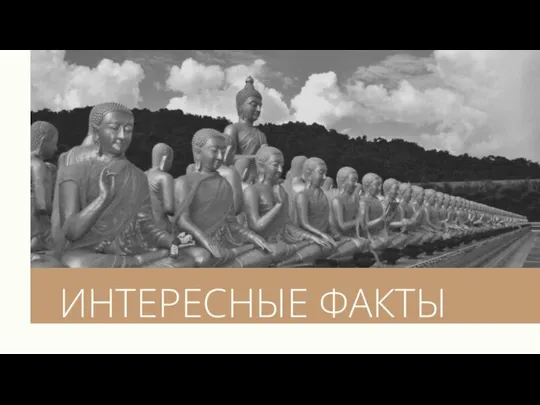 ИНТЕРЕСНЫЕ ФАКТЫ