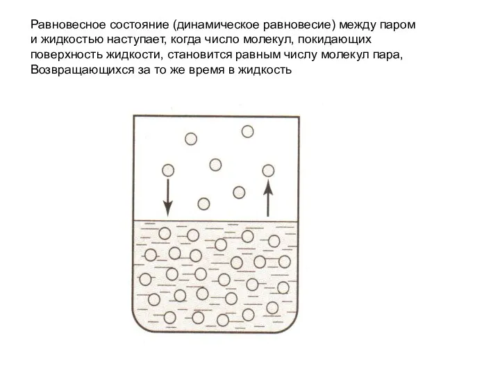 Равновесное состояние (динамическое равновесие) между паром и жидкостью наступает, когда число