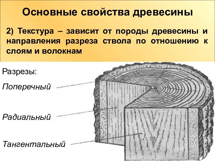 Основные свойства древесины 2) Текстура – зависит от породы древесины и