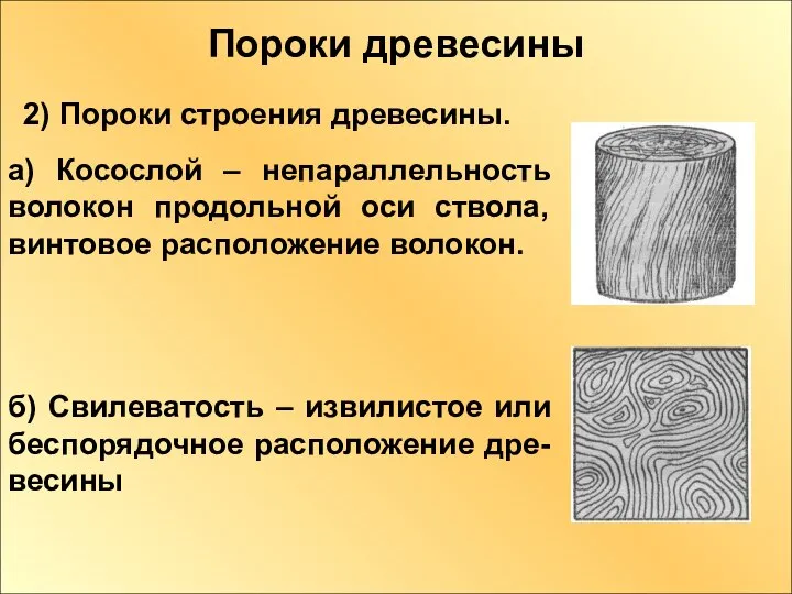 Пороки древесины 2) Пороки строения древесины. а) Косослой – непараллельность волокон