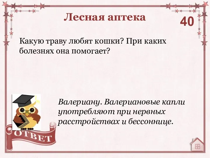 Какую траву любят кошки? При каких болезнях она помогает? Лесная аптека