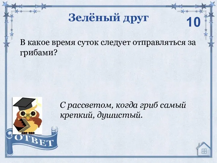 В какое время суток следует отправляться за грибами? Зелёный друг С