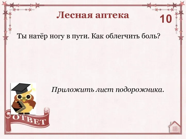 Ты натёр ногу в пути. Как облегчить боль? Лесная аптека 10 Приложить лист подорожника.