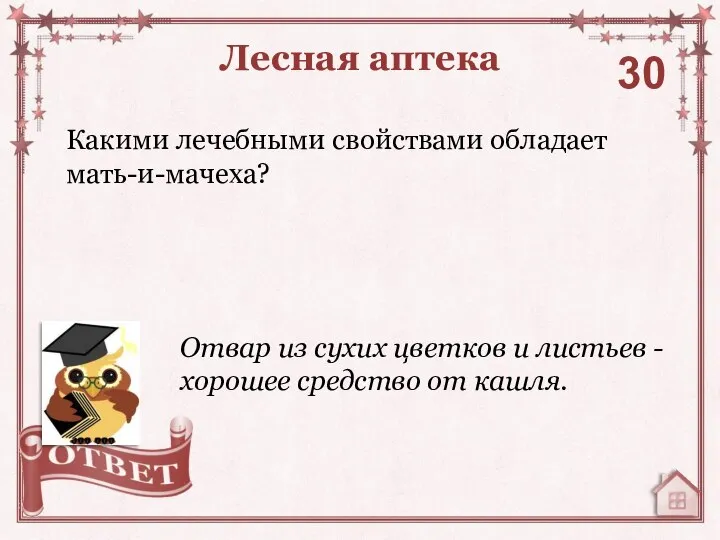 Какими лечебными свойствами обладает мать-и-мачеха? Лесная аптека 30 Отвар из сухих