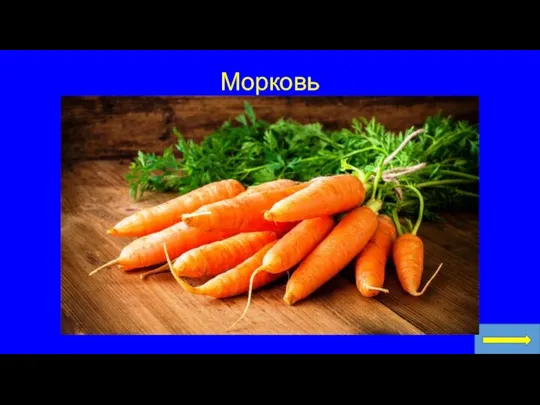 Морковь