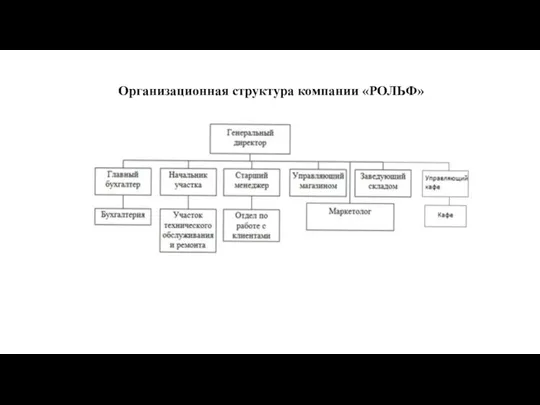 Организационная структура компании «РОЛЬФ»