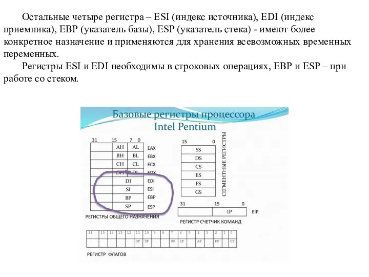 Остальные четыре регистра – ESI (индекс источника), EDI (индекс приемника), EBP