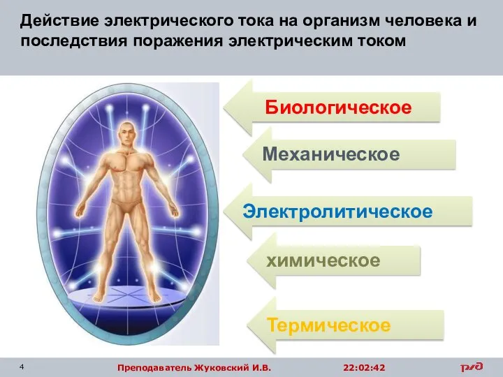 Действие электрического тока на организм человека и последствия поражения электрическим током Термическое Электролитическое химическое Биологическое Механическое