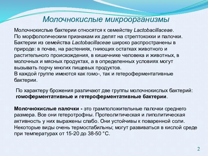 Молочнокислые микроорганизмы Молочнокислые бактерии относятся к семейству Lactobacillaceae. По морфологическим признакам