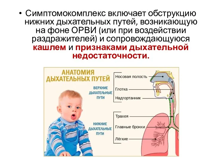 Симптомокомплекс включает обструкцию нижних дыхательных путей, возникающую на фоне ОРВИ (или