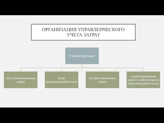 ОРГАНИЗАЦИЯ УПРАВЛЕНЧЕСКОГО УЧЕТА ЗАТРАТ