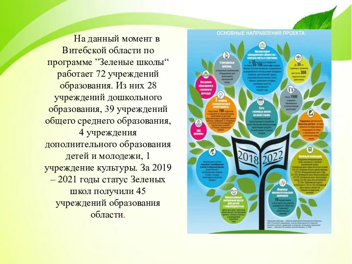 На данный момент в Витебской области по программе ”Зеленые школы“ работает