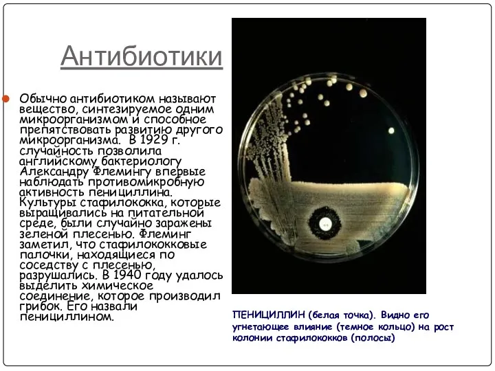 Антибиотики Обычно антибиотиком называют вещество, синтезируемое одним микроорганизмом и способное препятствовать