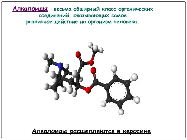 Алкалоиды – весьма обширный класс органических соединений, оказывающих самое различное действие