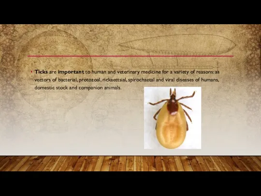 Ticks are important to human and veterinary medicine for a variety