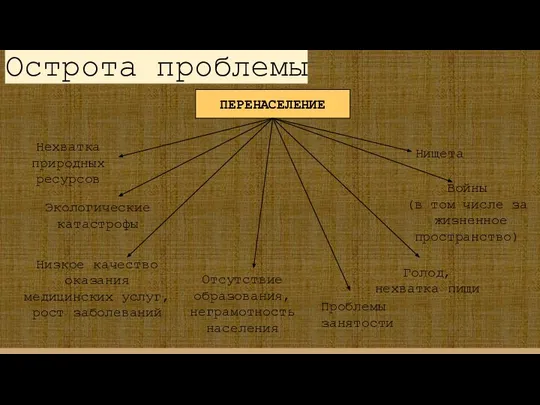 ПЕРЕНАСЕЛЕНИЕ Нехватка природных ресурсов Экологические катастрофы Отсутствие образования, неграмотность населения Голод,