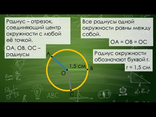 Радиус – отрезок, соединяющий центр окружности с любой её точкой. Все