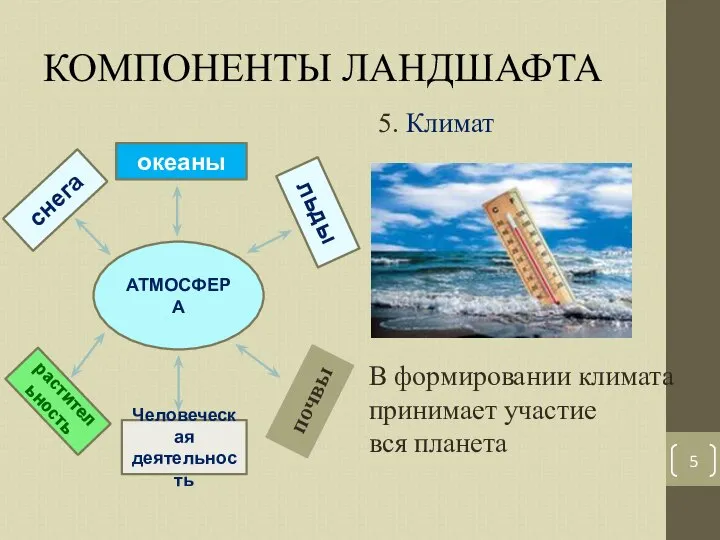 КОМПОНЕНТЫ ЛАНДШАФТА 5. Климат АТМОСФЕРА океаны снега льды растительность Человеческая деятельность