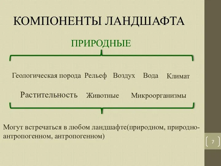 КОМПОНЕНТЫ ЛАНДШАФТА ПРИРОДНЫЕ Геологическая порода Рельеф Вода Воздух Климат Растительность Животные