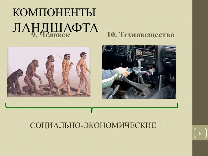 КОМПОНЕНТЫ ЛАНДШАФТА 9. Человек 10. Техновещество СОЦИАЛЬНО-ЭКОНОМИЧЕСКИЕ